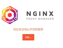 使用Nginx Proxy Manager反向代理docker应用以及java项目